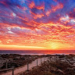 Meet your Posher, Maddie